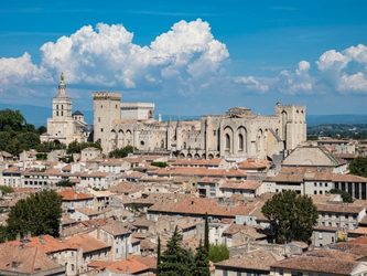 Célandine Rigoulot a une solution pour vos problèmes d'accidents
