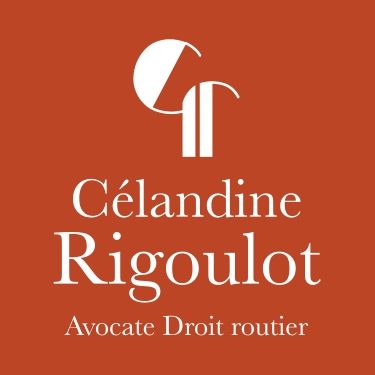  Stupéfiants au volant, Alcool au volant, Permis invalidé, Refus d'obtempérer, Délit de fuite, Excès de vitesse, Accidents, Contraventions